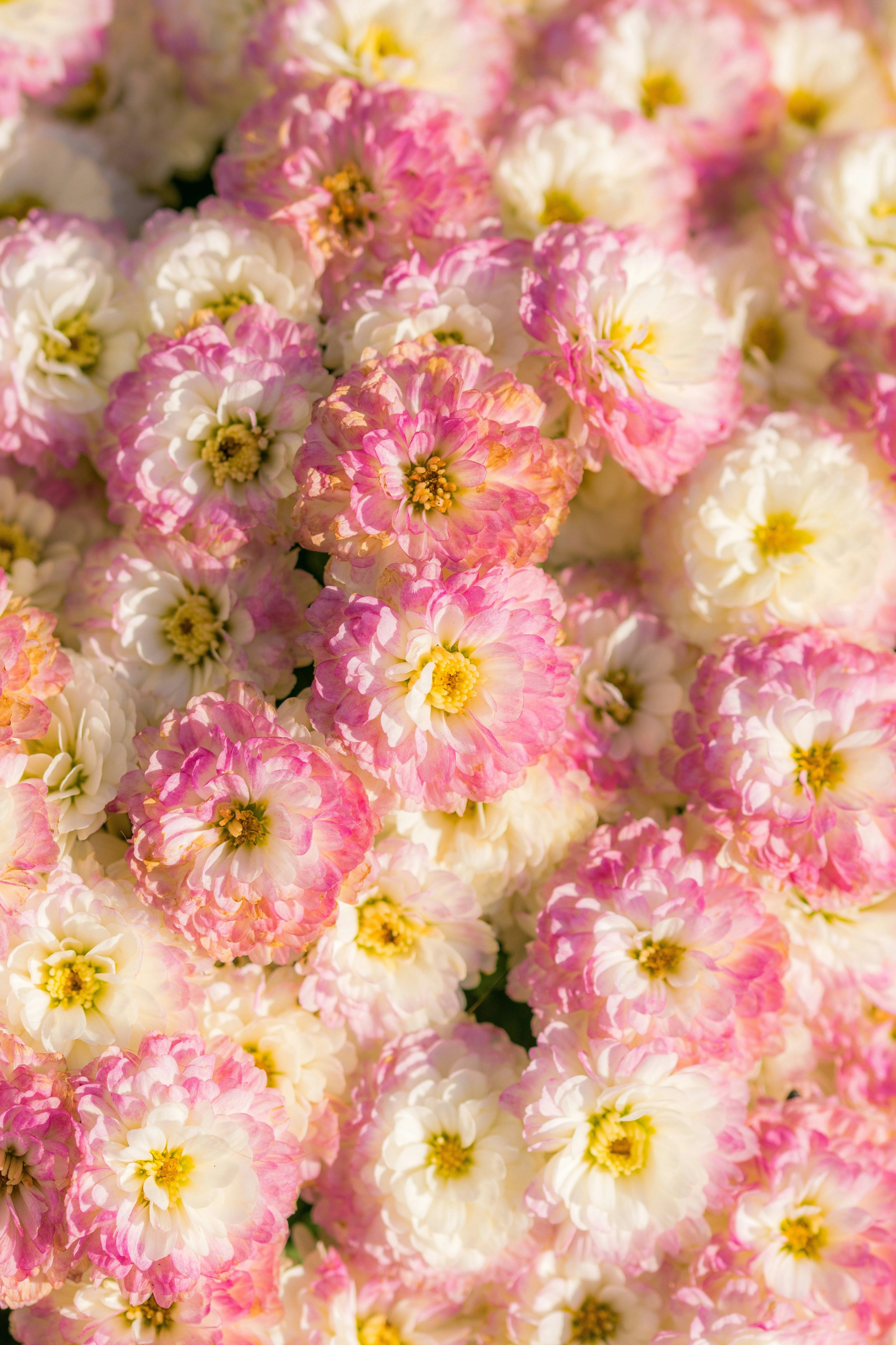 Floral & Fruity